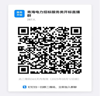 国网青海省电力公司2025年原集体企业第一次服务类公开招标采购项目招标公告CY2825J031