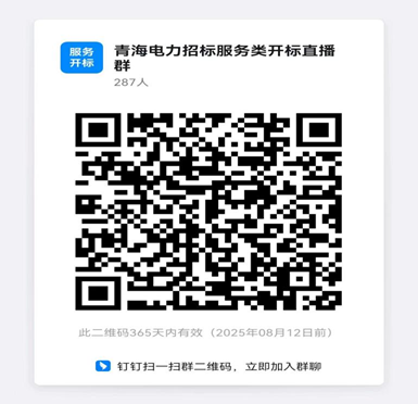 国网青海电力2025年省属子公司（综合能源服务有限公司）第一次服务公开招标采购招标公告