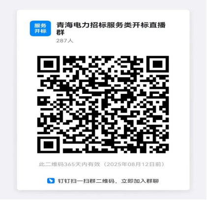 国网青海电力2025年省属子公司（综合能源服务有限公司）第二次服务公开招标采购招标公告282546