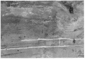 積石峽水電站進水口壩段伸縮縫滲水處理設計技術服務項目招標公告