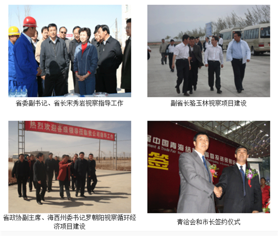 青海金锋实业有限公司