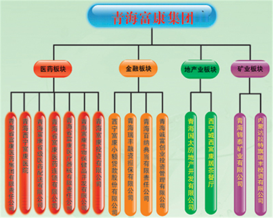 青海省富康医药有限责任公司